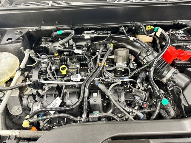 Certified 2024 Ford Maverick XLT w/ XLT Luxury Package image 37