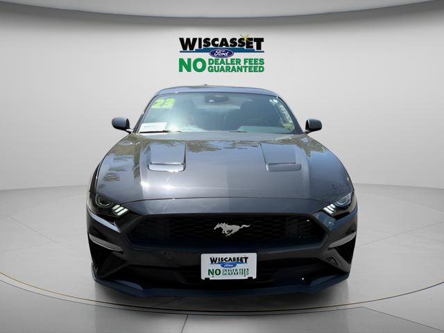 Certified 2023 Ford Mustang Coupe w/ Equipment Group 101A RWD image 10