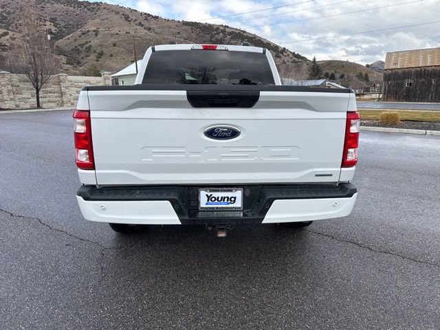 Certified 2023 Ford F150 XL w/ STX Appearance Package AWD/4WD image 6