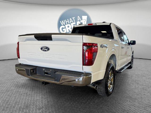 Certified 2025 Ford F150 XLT w/ Equipment Group 301A Standard AWD/4WD image 3