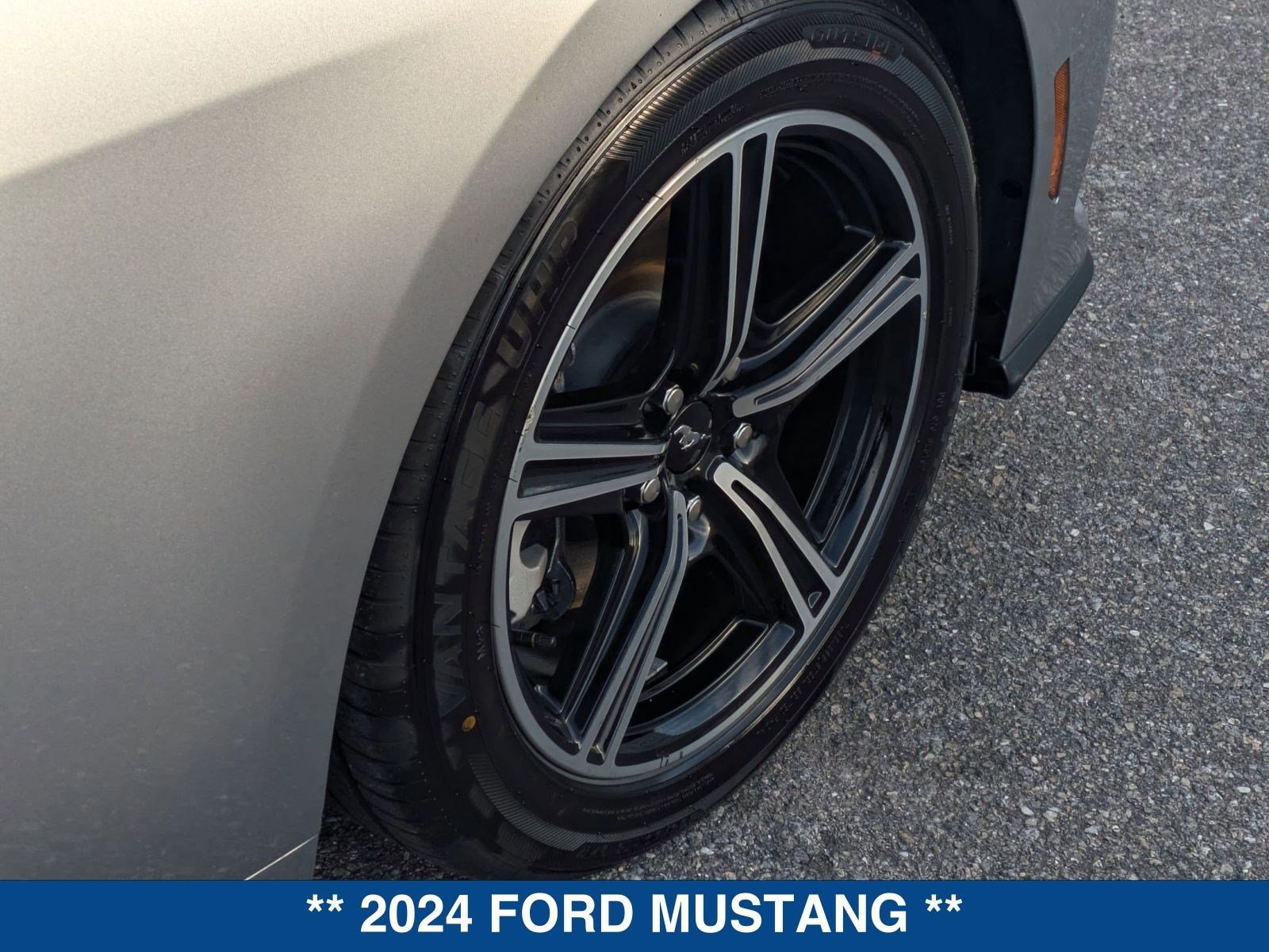 Certified 2024 Ford Mustang EcoBoost image 12