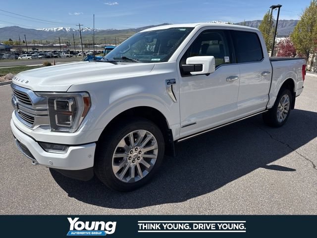 Certified 2023 Ford F150 Limited AWD/4WD image 1
