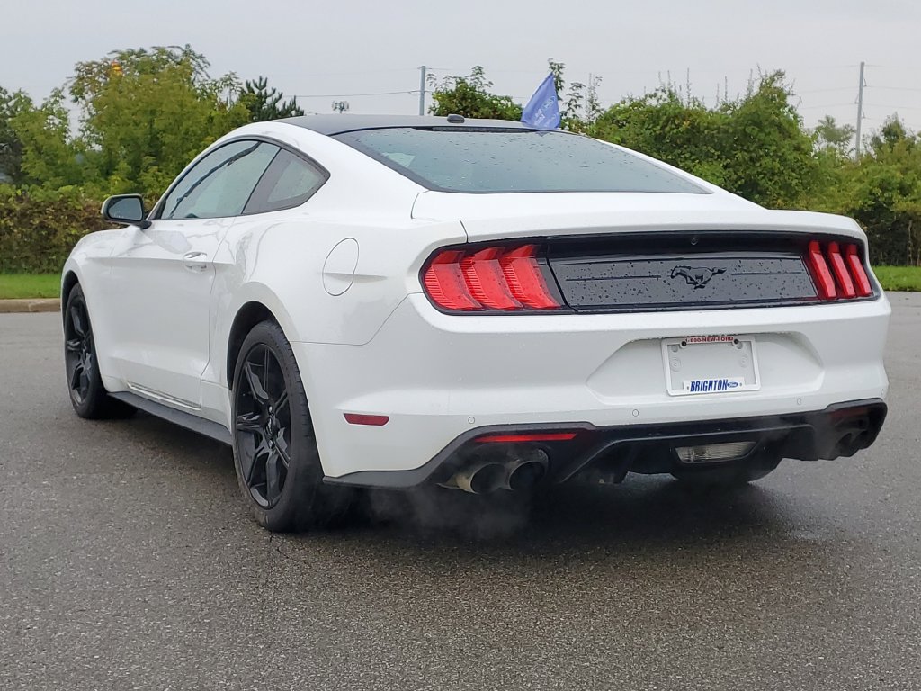 Certified 2020 Ford Mustang Premium w/ Equipment Group 201A RWD image 3