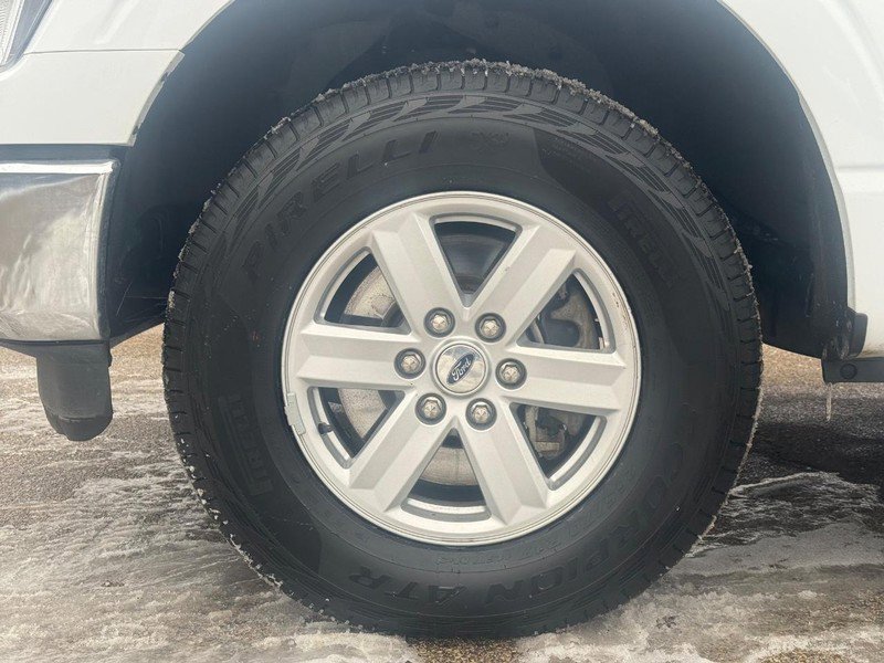 Certified 2022 Ford F150 XLT w/ Equipment Group 301A Mid image 12