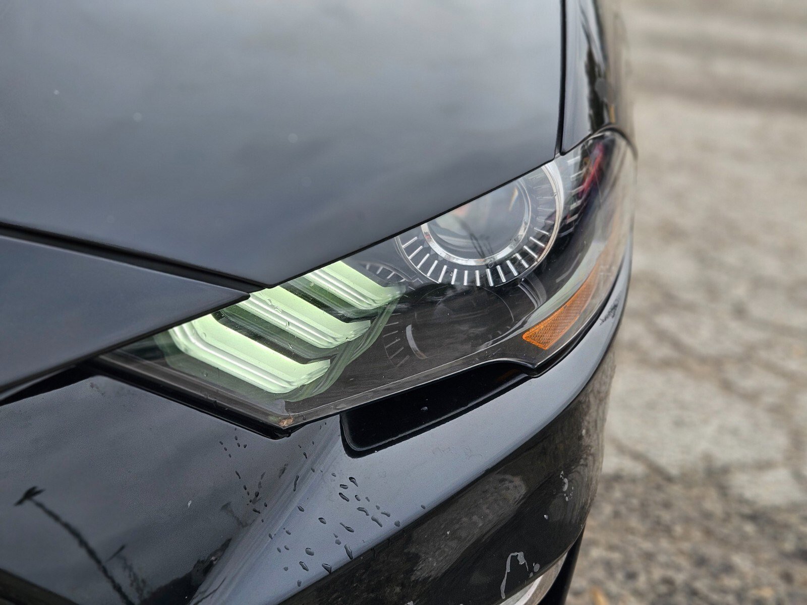 Certified 2023 Ford Mustang Premium image 11