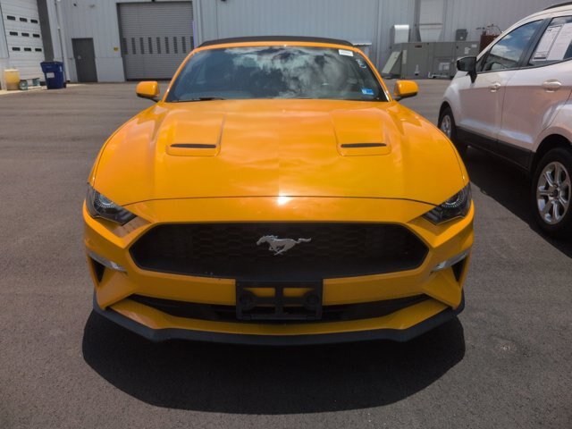 Certified 2019 Ford Mustang Premium w/ Equipment Group 201A RWD image 3