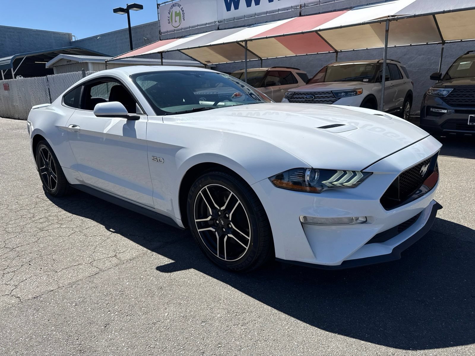 Certified 2019 Ford Mustang GT w/ Equipment Group 301A RWD image 7