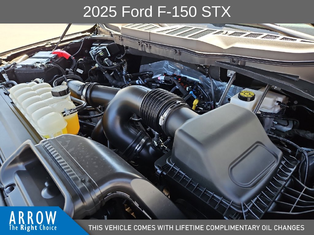 Certified 2025 Ford F150 STX RWD image 15