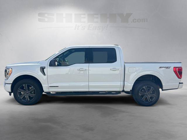 Certified 2023 Ford F150 XLT w/ Equipment Group 302A High AWD/4WD image 15