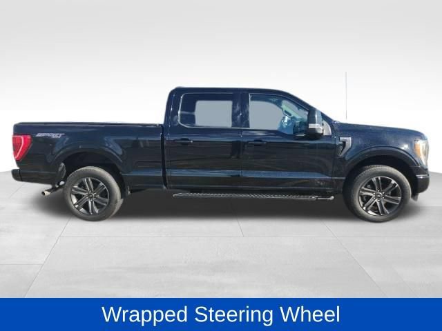 Certified 2023 Ford F150 XLT w/ Equipment Group 302A High image 6