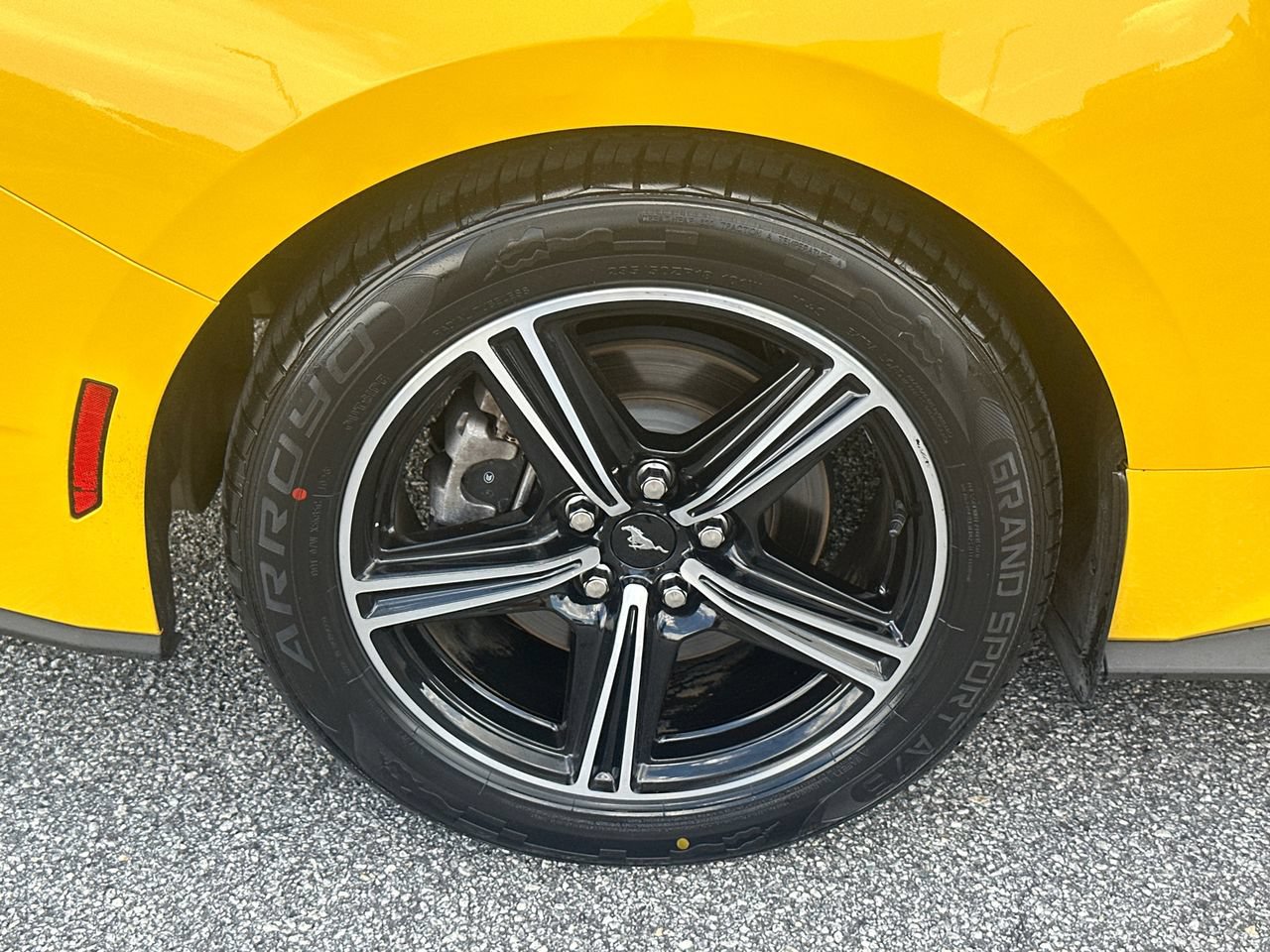 Certified 2024 Ford Mustang Premium RWD image 18