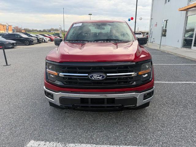 Certified 2025 Ford F150 XLT w/ Equipment Group 301A Standard image 8