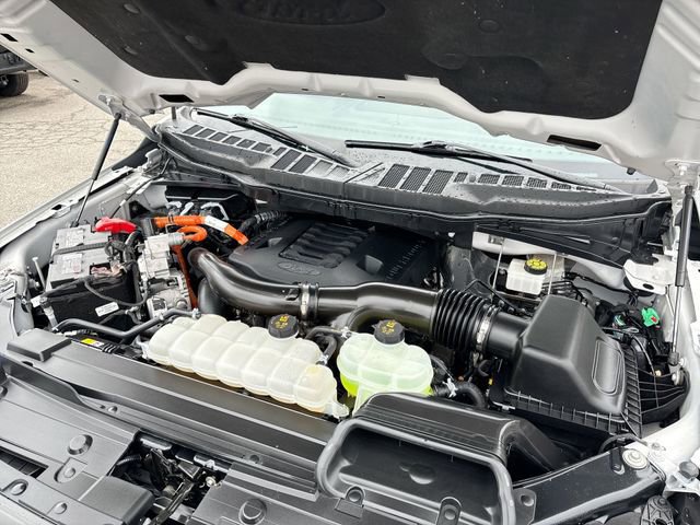 Certified 2023 Ford F150 XLT w/ Equipment Group 302A High image 10