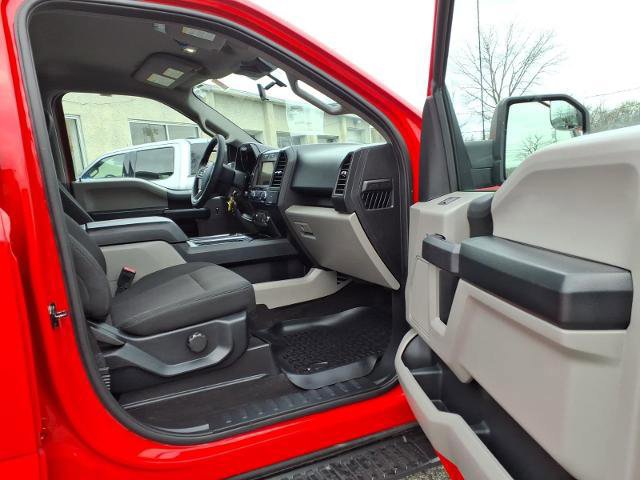 Certified 2019 Ford F150 XL w/ Equipment Group 101A Mid image 14