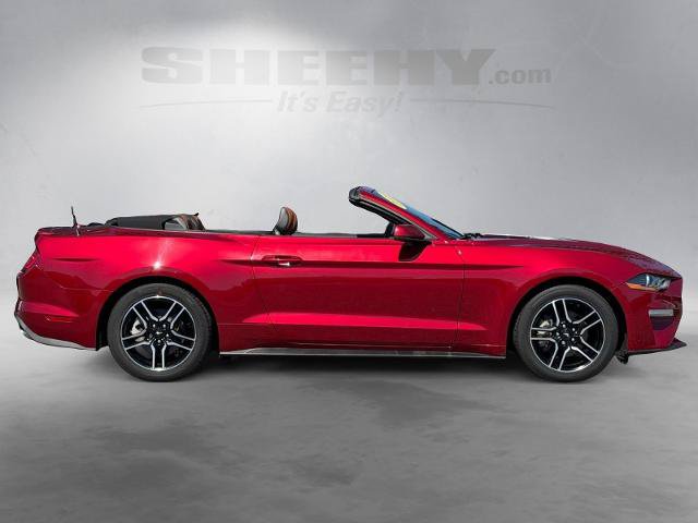 Certified 2019 Ford Mustang Premium RWD image 9
