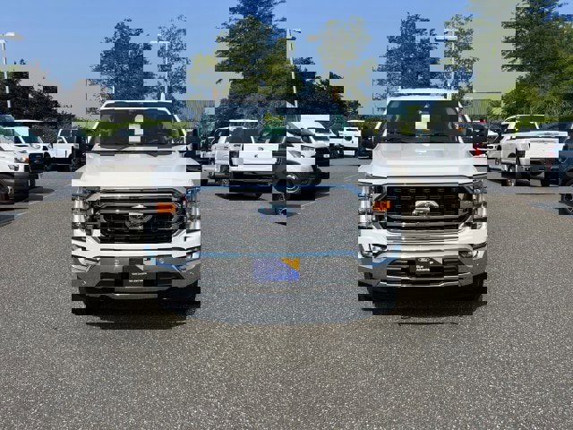 Certified 2022 Ford F150 XLT w/ Equipment Group 302A High image 8