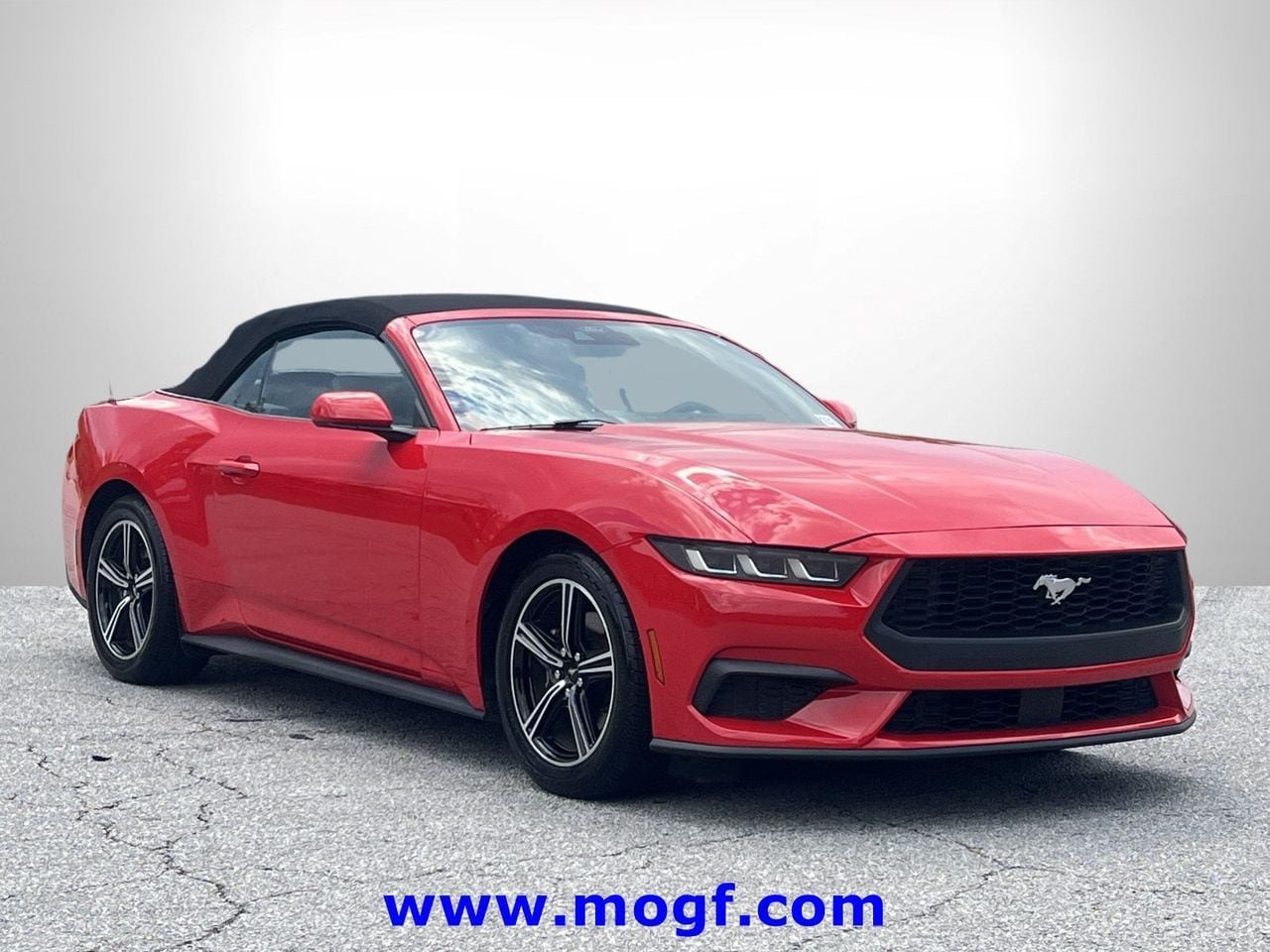 Certified 2024 Ford Mustang Premium RWD image 4