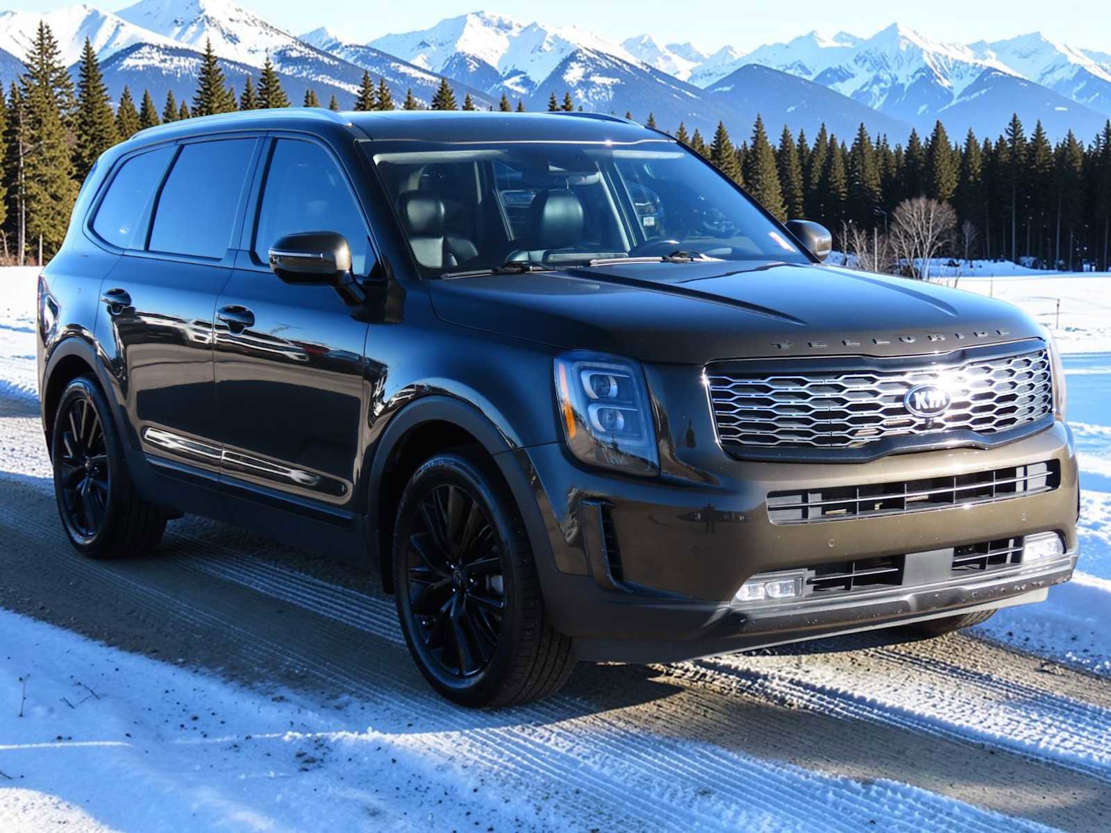 Used 2020 Kia Telluride SX image 8