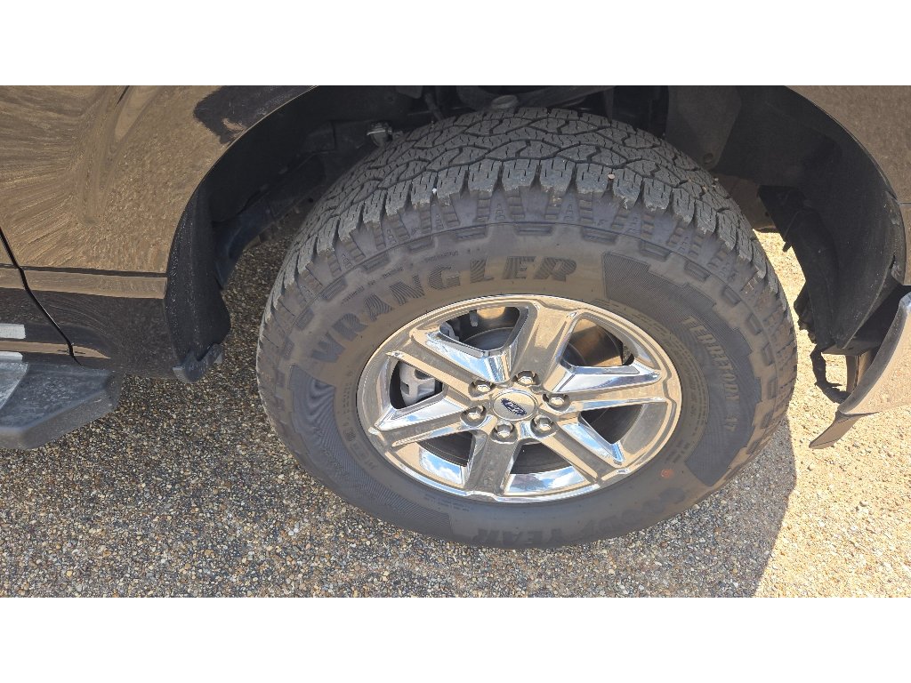 Certified 2025 Ford F150 XLT w/ Equipment Group 301A Standard AWD/4WD image 13