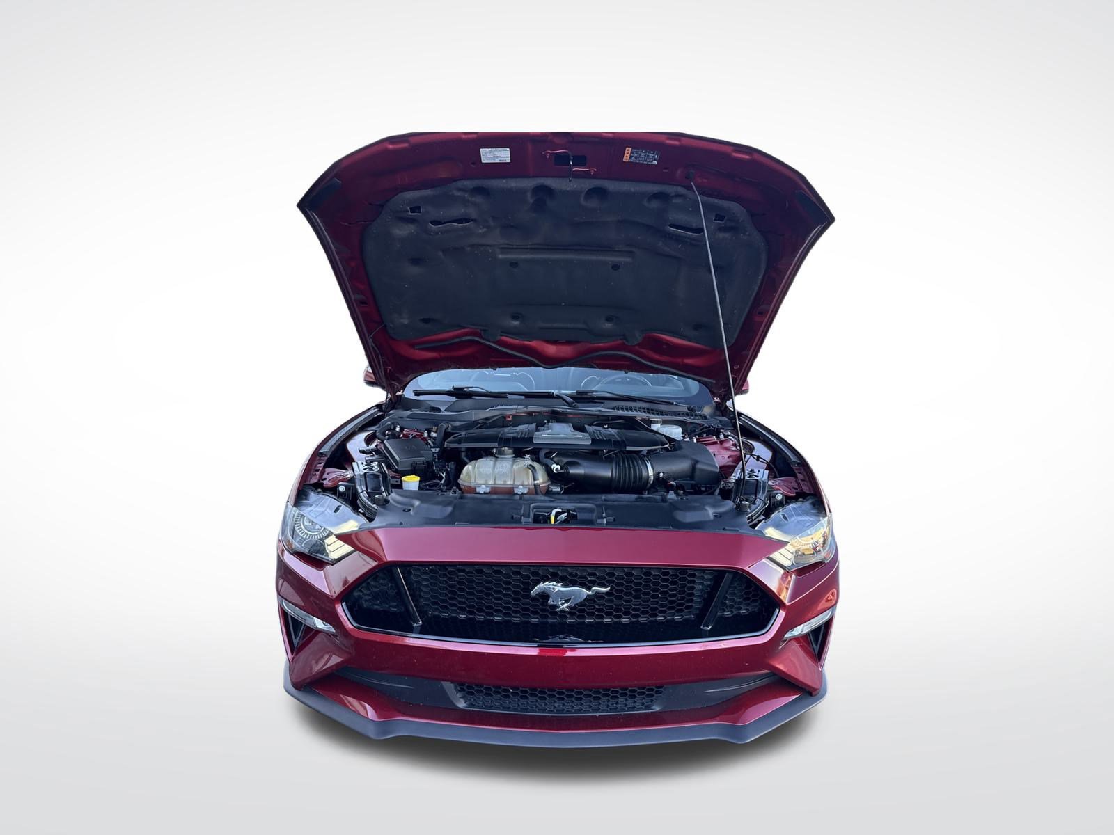 Certified 2019 Ford Mustang GT Premium image 13