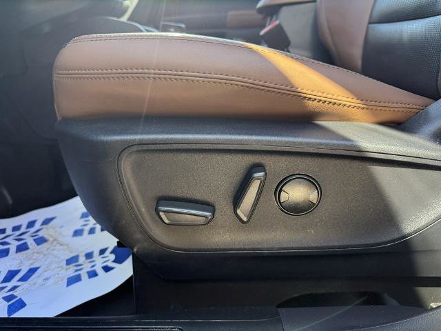 Certified 2024 Ford Bronco Sport Badlands w/ Premium Package image 14