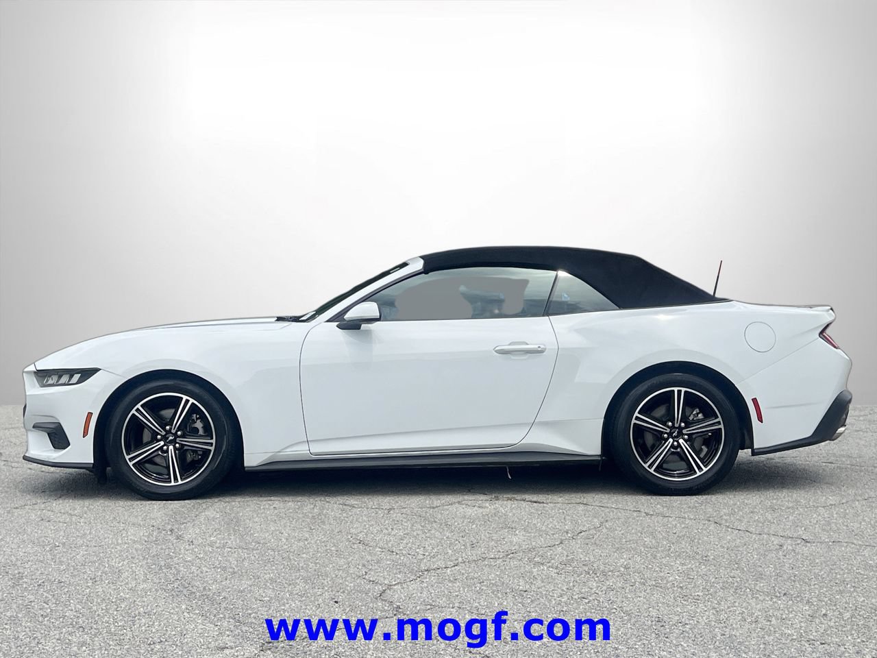 Certified 2024 Ford Mustang Premium RWD image 22