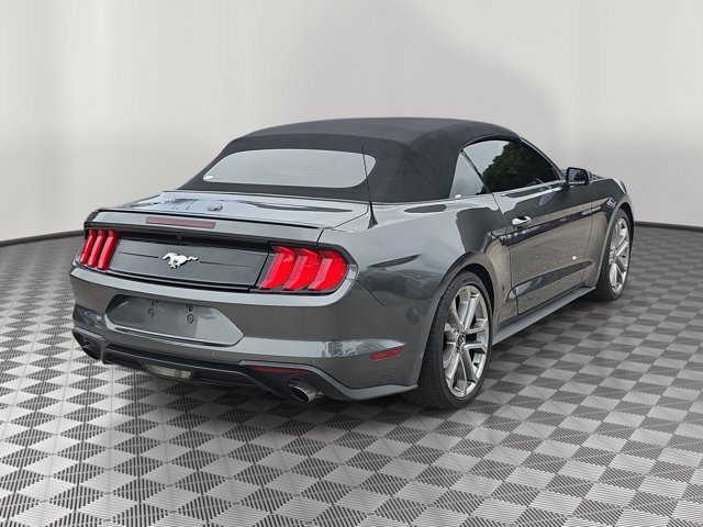 Certified 2019 Ford Mustang Premium w/ Equipment Group 201A RWD image 6