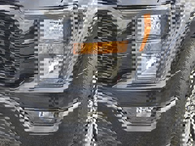 Certified 2023 Ford F150 XL w/ STX Appearance Package image 8