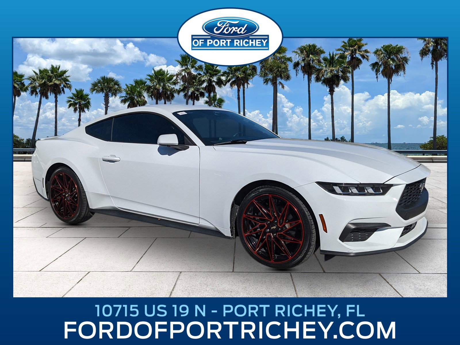 Certified 2024 Ford Mustang Premium image 1