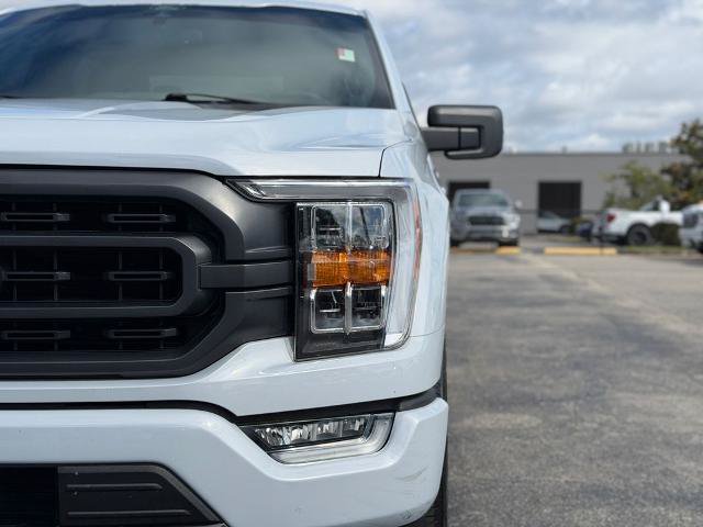 Certified 2026 Ford F150 XLT w/ XLT Black Appearance Package RWD image 11