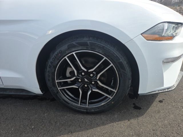 Certified 2023 Ford Mustang Premium image 15