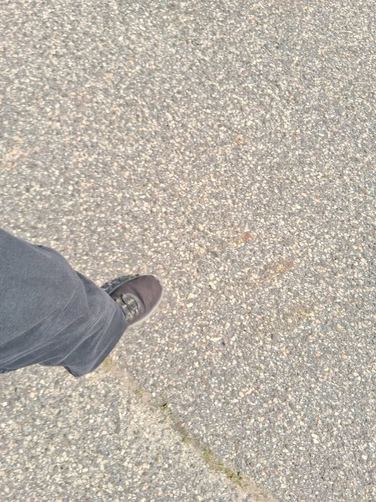 Used 2023 Kia Carnival LX image 3