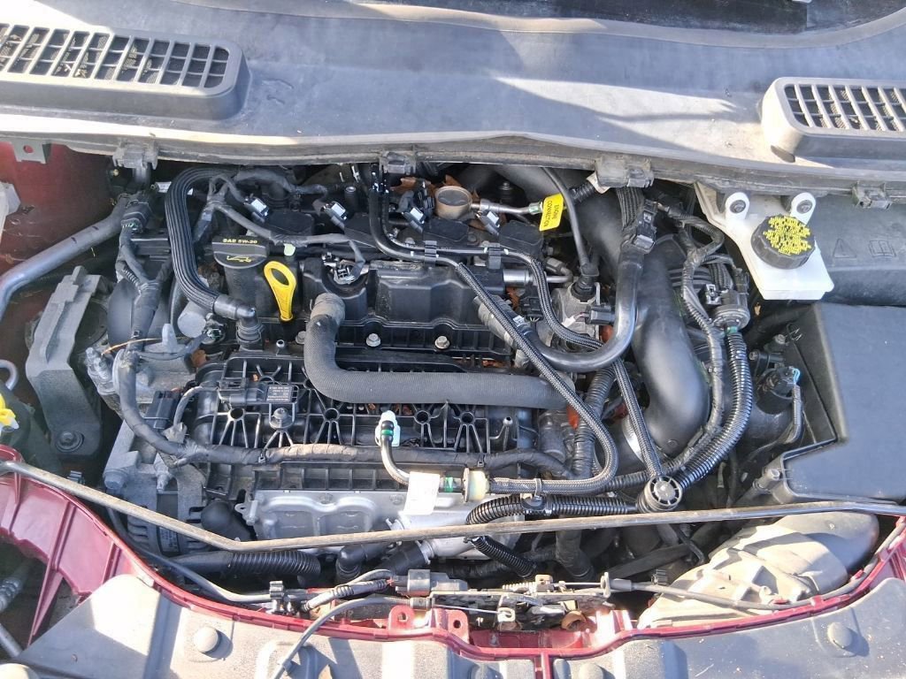 Certified 2019 Ford Escape SE image 21