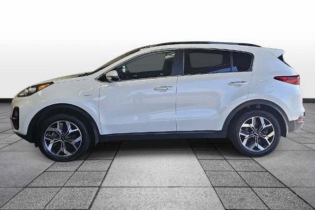Used 2022 Kia Sportage EX w/ EX Technology Package AWD/4WD image 8