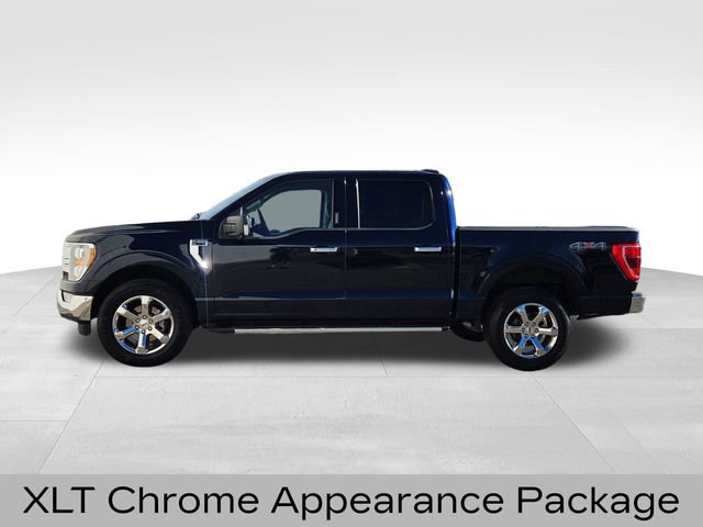 Certified 2022 Ford F150 XLT w/ Equipment Group 302A High image 2