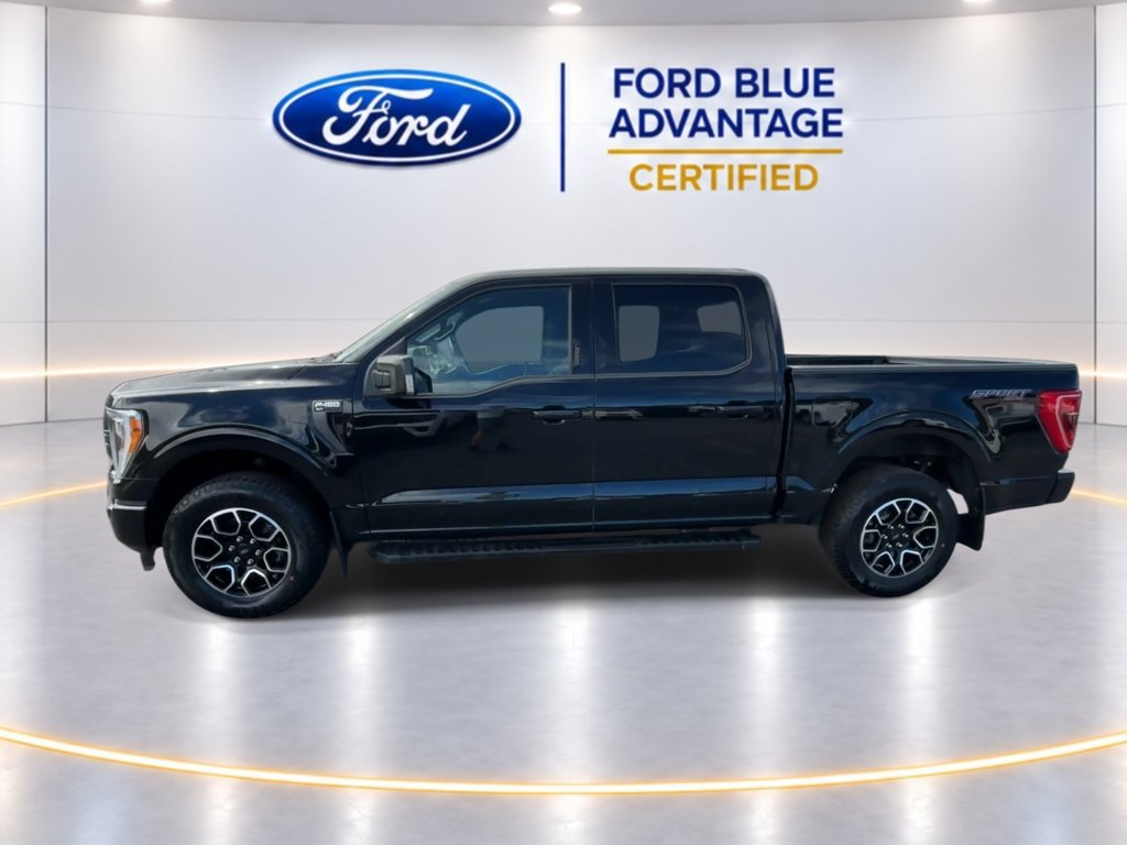 Certified 2023 Ford F150 XLT w/ Equipment Group 302A High AWD/4WD image 7