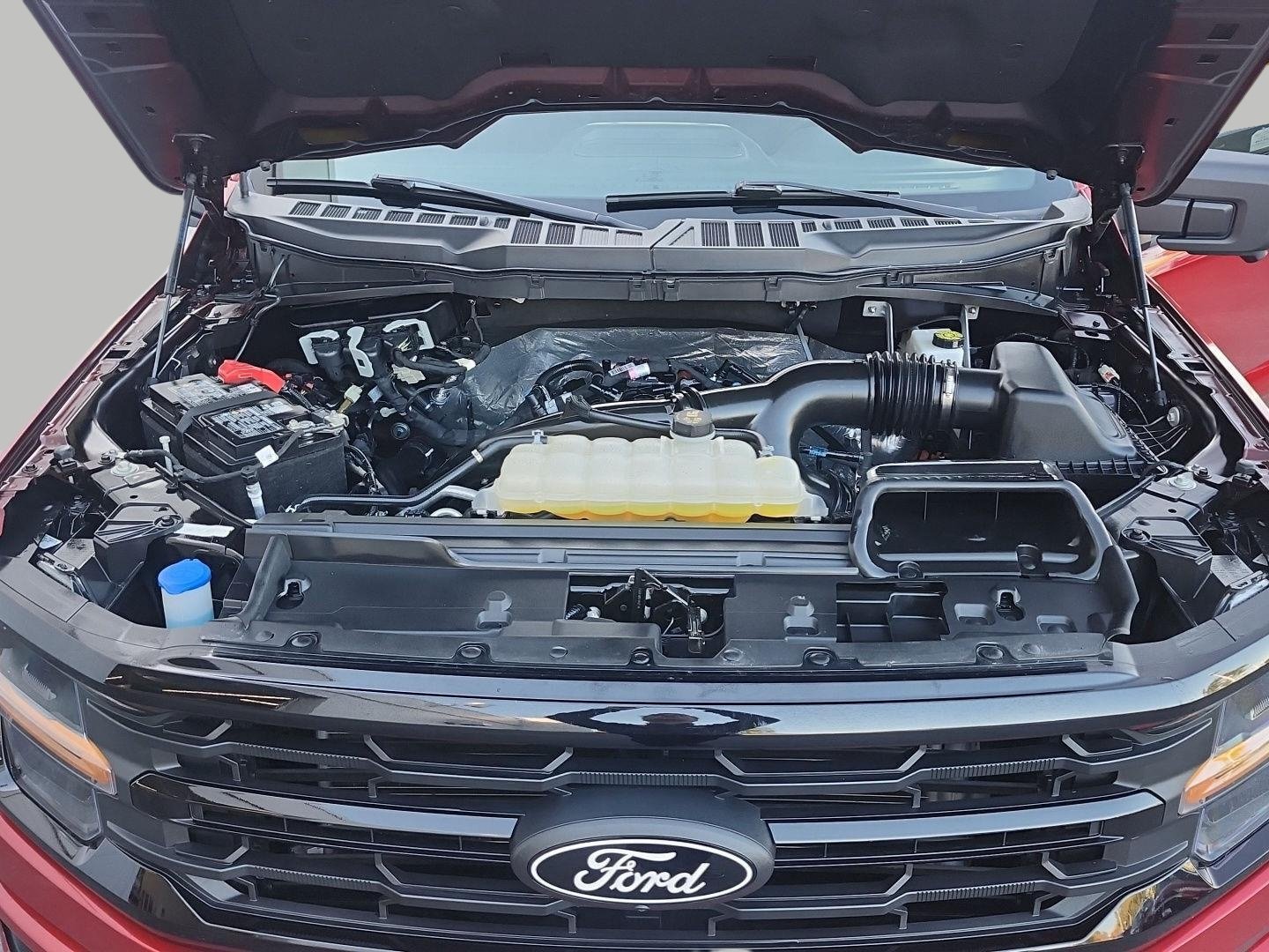 Certified 2025 Ford F150 XLT w/ Equipment Group 302A MID AWD/4WD image 7