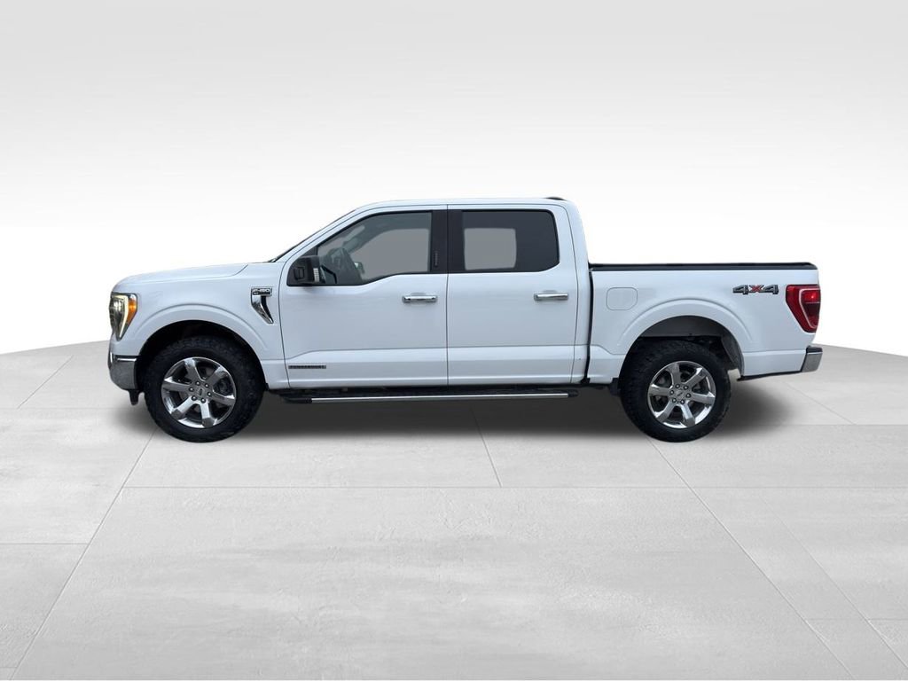 Certified 2021 Ford F150 XLT w/ Equipment Group 302A High image 3