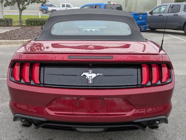 Certified 2019 Ford Mustang Premium w/ Pony Package image 4