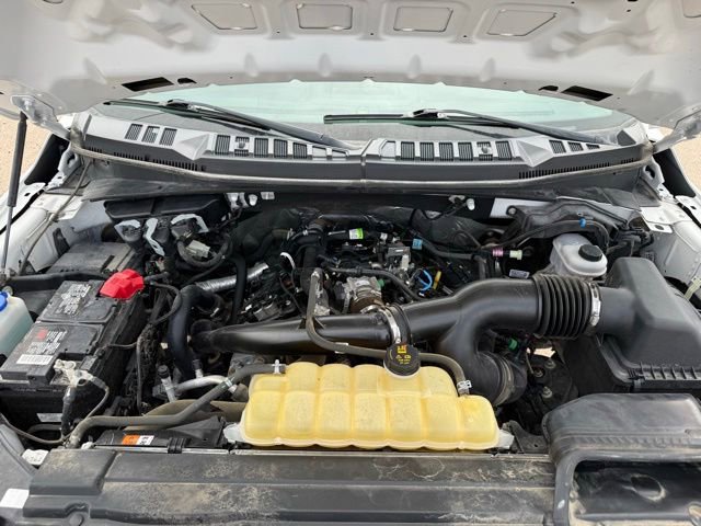 Certified 2019 Ford F150 XL w/ Equipment Group 101A Mid AWD/4WD image 35