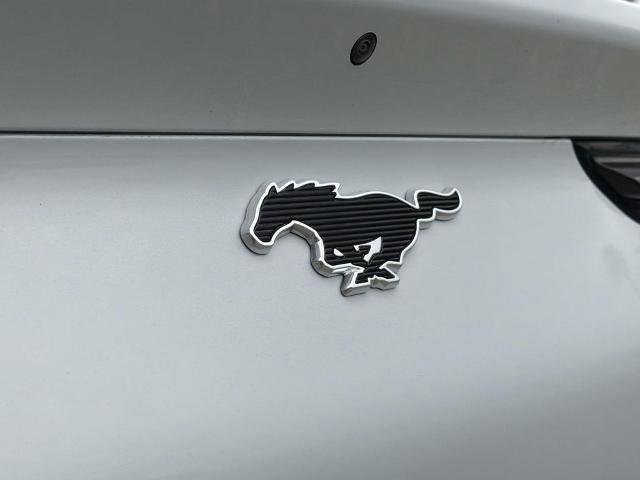 Certified 2021 Ford Mustang Mach-E Premium RWD image 9