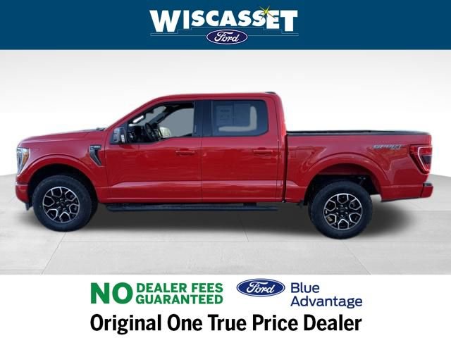 Certified 2023 Ford F150 XLT w/ Equipment Group 302A High image 2