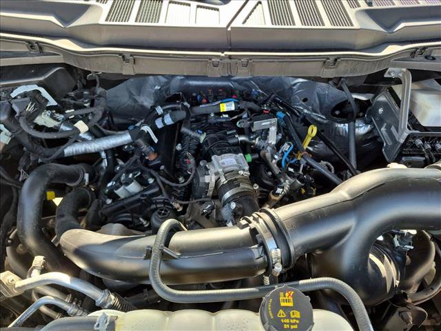 Certified 2023 Ford F150 XL w/ STX Appearance Package AWD/4WD image 23