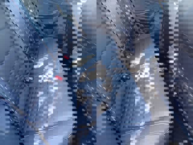 Used 2024 Volkswagen Jetta SE image 10