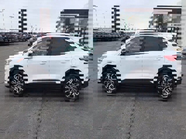 Certified 2022 Ford Escape SEL image 2
