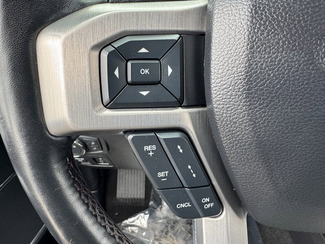 Certified 2019 Ford F150 Platinum w/ Equipment Group 701A Luxury image 22