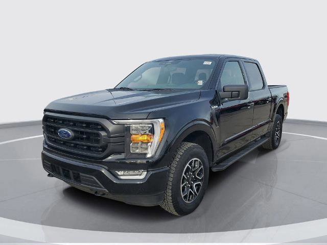 Certified 2022 Ford F150 XLT w/ Equipment Group 302A High image 4