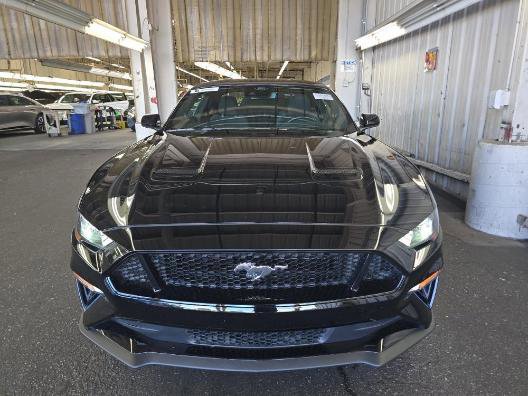 Certified 2022 Ford Mustang GT w/ Equipment Group 301A image 6