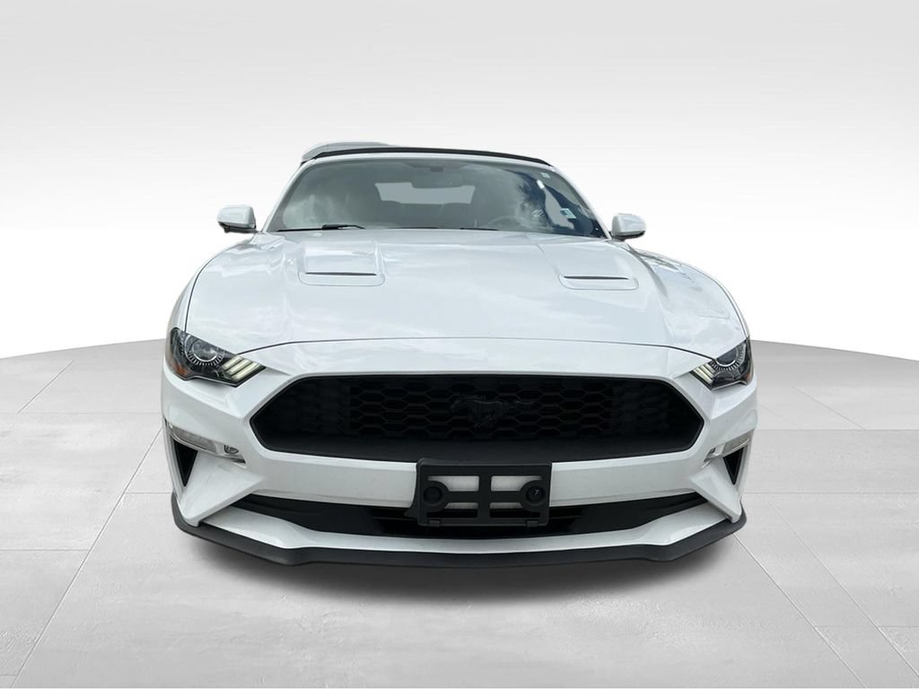 Certified 2019 Ford Mustang Premium w/ Black Accent Package RWD image 12