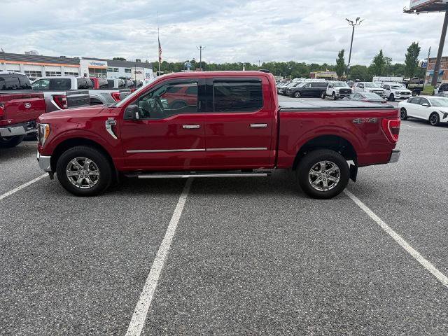 Certified 2022 Ford F150 XLT w/ Equipment Group 302A High AWD/4WD image 4
